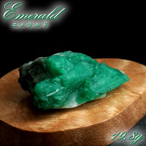 Gh  RrA \zRY y_́z Emerald z W{  Β   VR p[Xg[ J[Xg[