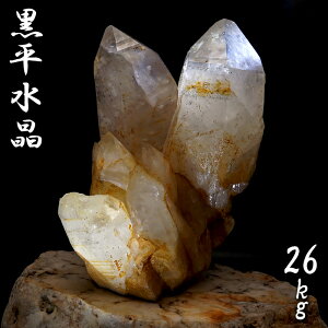 R  26.0kg RY yz _ Kurobera Quartz { Y   VR p[Xg[ J[Xg[