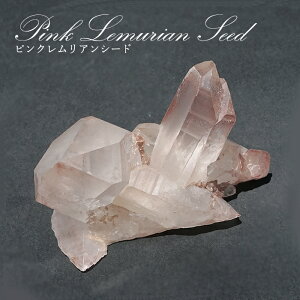 sNAV[h  uWEWA}`[iYy _ zPink Lemurian Seed   VR p[Xg[