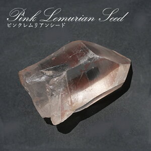sNAV[h  uWEWA}`[iYy _ zPink Lemurian Seed   VR p[Xg[
