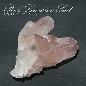 �s���N�������A���V�[�h ���� �u���W���E�W�A�}���`�[�i�Y�y ��_�� �zPink Lemurian Seed ���� �� �V�R�� �p���[�X�g�[��