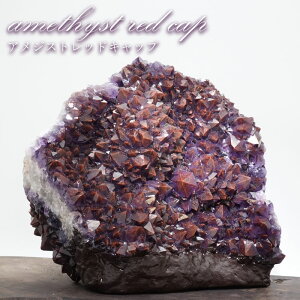 AWXgbhLbv  Ji_ET_[xCY ty _ zamethyst red cap w}^Cg I^IB XyI H  VR p[Xg[