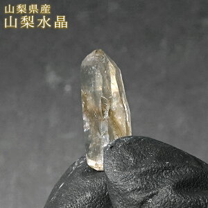 �R������ ���� �R�����Y�y ��_���� �z���Y�V�R�� ���Y���� Quartz �N�H�[�c �|�C���g ���� �z�� ����� �� �V�R�� �p���[�X�g�[�� �J���[�X�g�[��