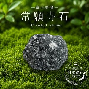 ��莛�� ���� �x�R���Y JOGANJI Stone ���{���� �S�� 47�s���{�� ���K�㗝�X ���Y �z�� �R���N�V���� �V�R�� �p���[�X�g�[��