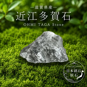 �ߍ]����� ���� ���ꌧ�Y OHMI TAGA Stone ������ ���{���� �S�� 47�s���{�� ���K�㗝�X ���Y �z�� �R���N�V���� �V�R�� �p���[�X�g�[��