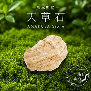 �V���� ���� �F�{���Y AMAKUSA Stone �ؖ� ����� ���{���� �S�� 47�s���{�� ���K�㗝�X ���Y �z�� �R���N�V���� �V�R�� �p���[�X�g�[��