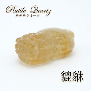 y_́z`NI[c溁iqLEj 蕨 u J[Xg[