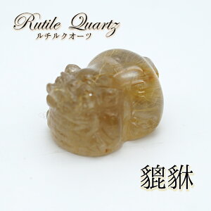 y_́z`NI[c溁iqLEj 蕨 u J[Xg[