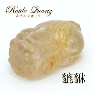 y_́z`NI[c溁iqLEj 蕨 u J[Xg[