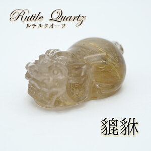 y_́z`NI[c溁iqLEj 蕨 u J[Xg[