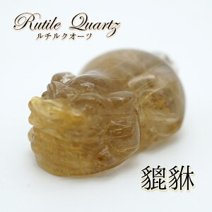 y_́z`NI[c溁iqLEj 蕨 u J[Xg[