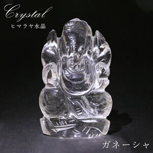 q} Kl[V 蕨  83.5g Ch lp[Y y _ z  ɐ w |p _l VR p[Xg[