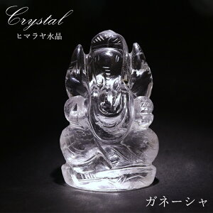 q} Kl[V 蕨  87.6g Ch lp[Y y _ z  ɐ w |p _l VR p[Xg[