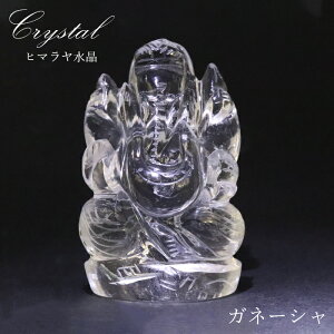 q} Kl[V 蕨  100.7g Ch lp[Y y _ z  ɐ w |p _l VR p[Xg[