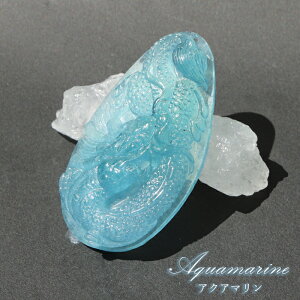 ANA}  蕨 v[g 27.3g uWY y_́zؖt 2024N x CN  VN  C    }t VR p[Xg[