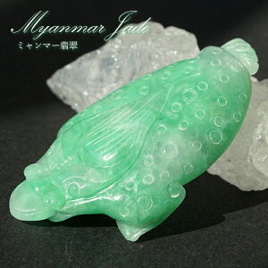 ~}[Ő KO{^ 蕨 Jade Jadeite _ Ђ qXC O{̊^ ݂̂ 蒤  J[Xg[