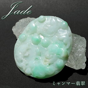 ~}[Ő ××o 蕨 v[g y _ z 2024N x CN  VN  C    }t Ђ Ő  VR p[Xg[