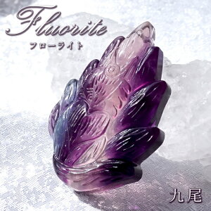 y _ z t[Cg   Y  Fluorite u  y_ggbv VR p[Xg[ J[Xg[