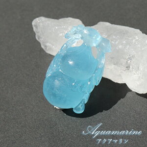 ANA} Z\ 蕨 13.1g uWY y_́zؖt VR p[Xg[