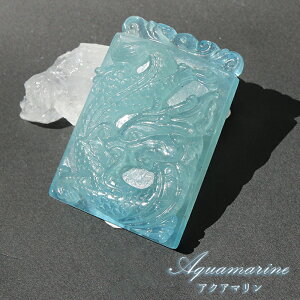 ANA}  蕨 v[g 48.0g uWY y_́zؖt 2024N x CN  VN  C    }t VR p[Xg[