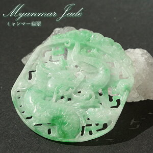y_z ~}[Ő  蕨 2024N x CN  VN  C    }t Jade Jadeite Ђ qXC  蒤  J[Xg[