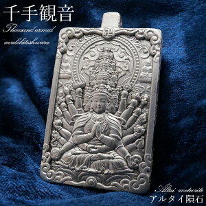 y_z A^Crare覐 Vdrare覐 ω 蕨 v[g Altai (Xinjiang) meteorite Thousand armed avalokiteshwara Plate J[Xg[