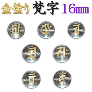 J[rO y6. h 16mmz1 x \x 쑸 자 r[Y @@h S[h@茤 16mm 1 1 o nhCh  VR J[rOy