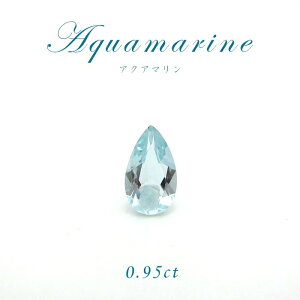 y1_zANA} [X 0.95ct i VR p[Xg[ ANZT[ WG[  ǎ 3 a J[Xg[