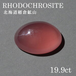 �k�C����q�΍z�R�Y ���[�h�N���T�C�g�klo-rc-019] ���[�X�@�C���J���[�Y�@�V�R�� �p���[�X�g�[�� ���f�B�[�X �����Y �J���[�X�g�[��