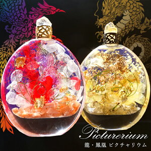  P sN`E 2024N x CN  VN  C    }t n[oE VRΓ n[oE{g {  u N J^  蕨 p[Xg[