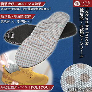 �k���Γ���C���\�[�� �t���[�T�C�Y �ᔽ�� Hokutolite ���~�� �Ռ��z�� �ʋC�� �z�������Q �V�R�L�O�� ���ː� ���W�E�� �}�C�i�X�C�I�� ���ԊO�� ���d���� ���N�X�g�[�� ���Ƃق� �V�R�� ���