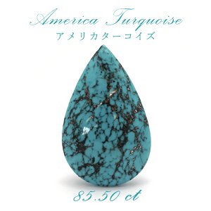 AJ ^[RCY gR AJY ^ 85.50ct y _z   q[O bNX J F ^ ƒ^ p[Xg[ y  z J[Xg[