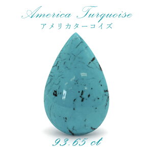 AJ ^[RCY gR AJY ^ 93.65ct y _z   q[O bNX J F ^ ƒ^ p[Xg[ y  z J[Xg[