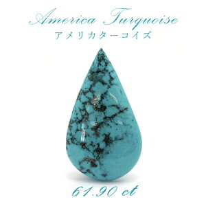 AJ ^[RCY gR AJY ^ 61.90ct y _z   q[O bNX J F ^ ƒ^ p[Xg[ y  z J[Xg[