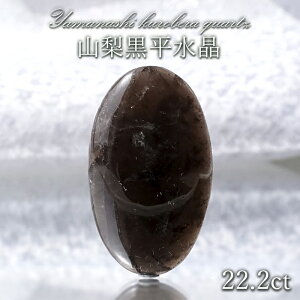 R [X 22.2ct y _ z RY Hl  { Y   p[Xg[ VR J[Xg[ yK̔Xz