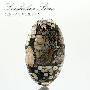 �X�l?�N�X�L���X�g�[�� ���[�X �C���h�l�V�A�Y Snakeskin Stone �I�[�o���` �󏭐� ���� �V�R�� �p���[�X�g�[��