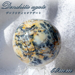 yyVX[p[SALE 30%OFFz fheBbNAQ[g ۋ 60mm ChlVAY y _ z XtBA fheBbN VR p[Xg[ J[Xg[ G8ay3