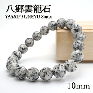 _ 10mm uXbg 錧Y 2024N x CN  VN  C    }t { p[Xg[ VR J[Xg[