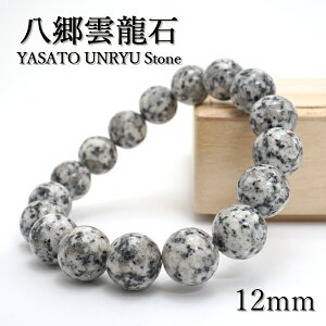 _ 12mm uXbg 錧Y 2024N x CN  VN  C    }t { p[Xg[ VR J[Xg[