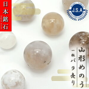 y{΃r[Yz R`߂̂ ۋ r[Y R`Y  y o z { А { nhCh p[Xg[ VR J[Xg[