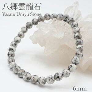 _ 6mm uXbg 錧Y { { p[Xg[ VR J[Xg[