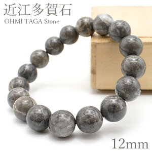�ߍ]����� �O���[ �u���X���b�g 12mm ���ꌧ OHMI TAGA Stone �V�R�� �p���[�X�g�[�� ���{���� �J���[�X�g�[��