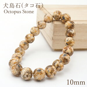 ������(�^�R�΁j�u���X���b�g 10mm �� ���{���� Octopus Stone ���R�� �z�� �V�R�� �p���[�X�g�[�� �J���[�X�g�[��