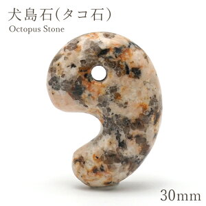 ������(�^�R�΁j ��30mm ���� ���R�������Y ���{�̐� ���{���� Octopus Stone �V�R�� �p���[�X�g�[�� �J���[�X�g�[��