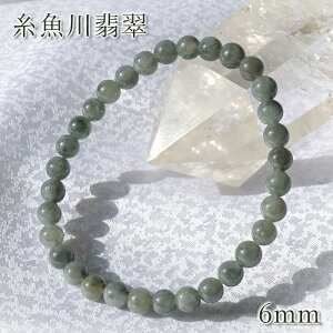 Ő 6mm ubNCgO[ VY {   5a Ђ VR p[Xg[ J[Xg[