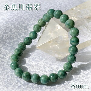 Ő 8mm u[O[ VY {   5a Ђ VR p[Xg[ J[Xg[