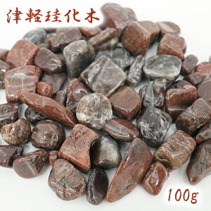 100g Ìy] { XY TSUGARU Petrified Wood VR p[Xg[ J[Xg[