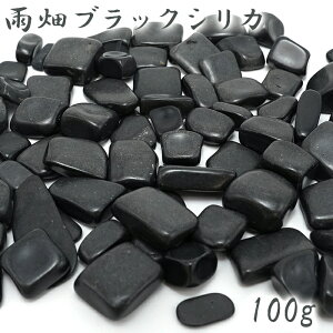 JubNVJ  100g { RY AMEHATA Black Silica VR p[Xg[ J[Xg[