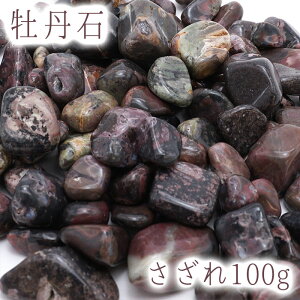  100g O kC { VR p[Xg[   J[Xg[ yK̔Xz