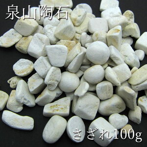  100g R p[Xg[ VR { ꌧ J[Xg[